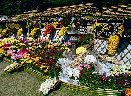 修善寺・菊花まつり