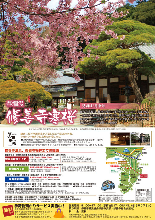 春爛漫！修善寺寒桜のご案内