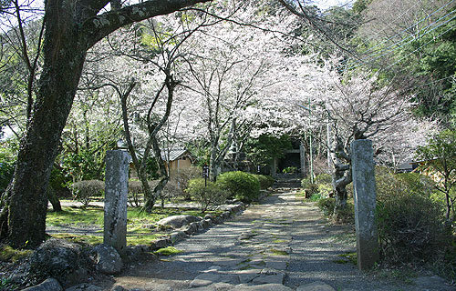 修善寺温泉「奥の院春の静寂」のご案内