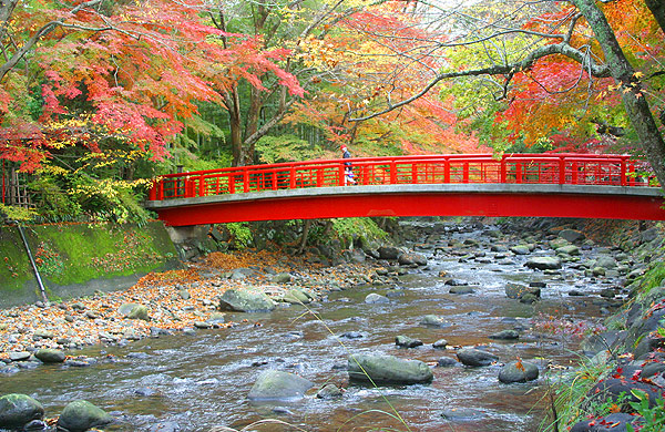 秋の桂橋